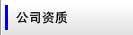 ˾Y|(zh)